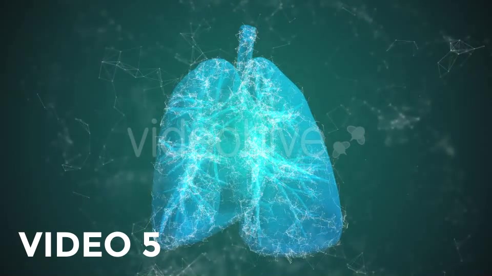 Plexus Lungs Rotation Pack Videohive 19135580 Motion Graphics Image 12