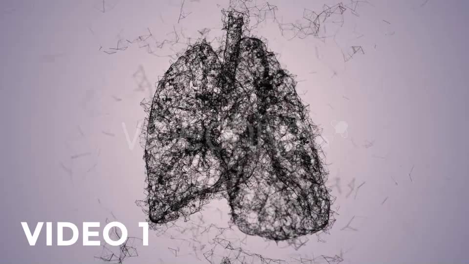 Plexus Lungs Rotation Pack Videohive 19135580 Motion Graphics Image 2