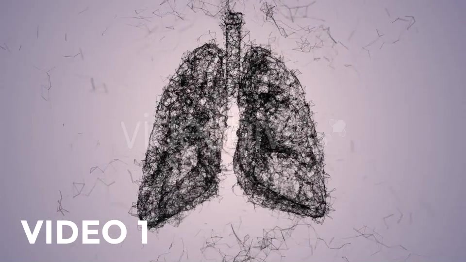 Plexus Lungs Rotation Pack Videohive 19135580 Motion Graphics Image 3