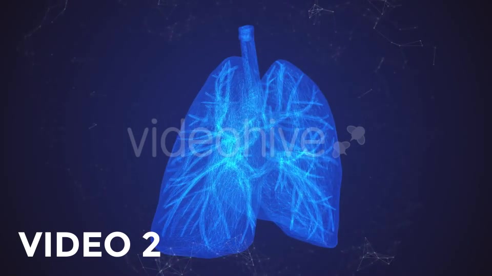 Plexus Lungs Rotation Pack Videohive 19135580 Motion Graphics Image 4