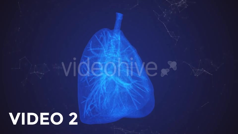 Plexus Lungs Rotation Pack Videohive 19135580 Motion Graphics Image 5
