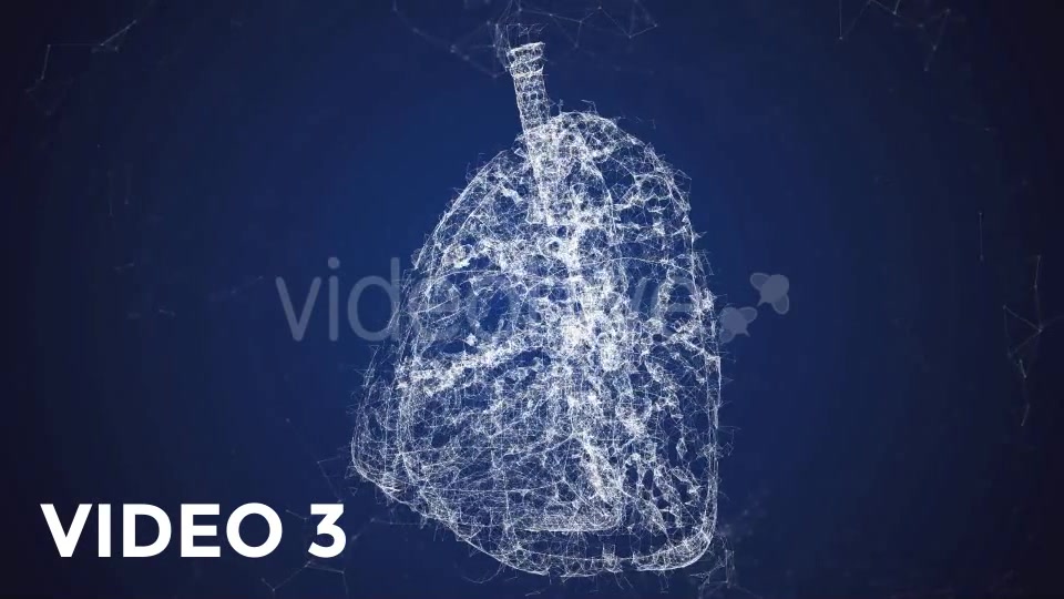 Plexus Lungs Rotation Pack Videohive 19135580 Motion Graphics Image 6
