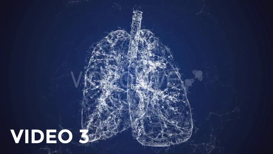 Plexus Lungs Rotation Pack Videohive 19135580 Motion Graphics Image 7