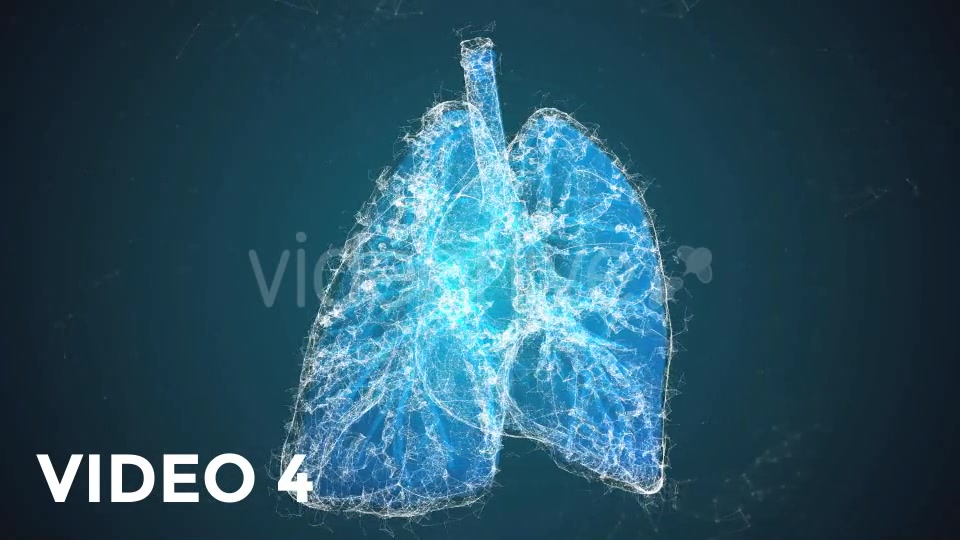 Plexus Lungs Rotation Pack Videohive 19135580 Motion Graphics Image 9