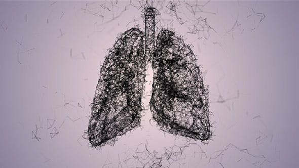 Plexus Lungs Rotation Pack - Videohive 19135580 Download