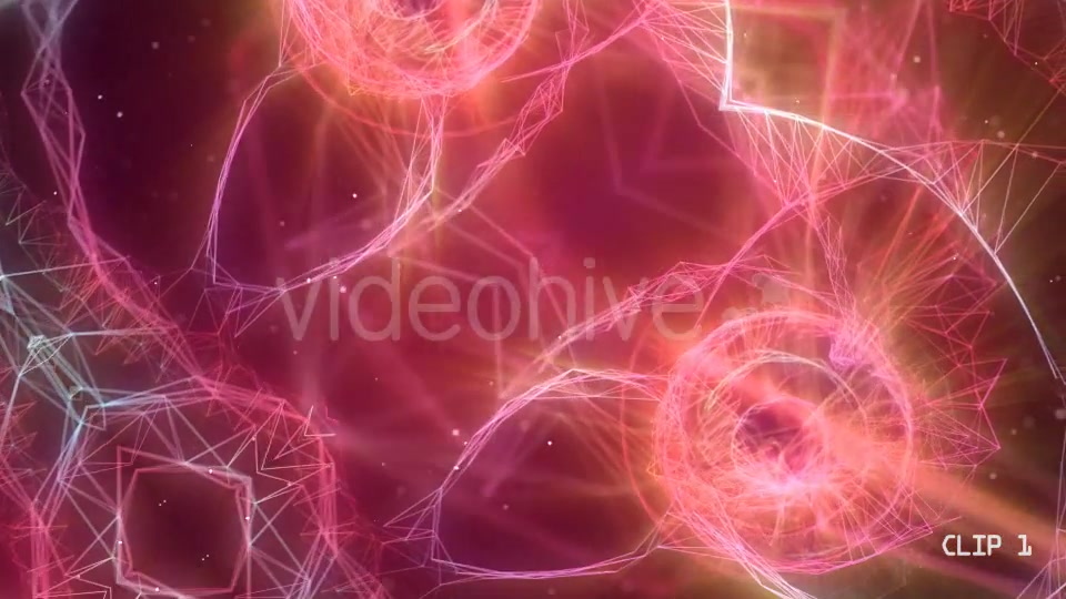 Plexus Mandala 3 Videohive 20210976 Motion Graphics Image 4