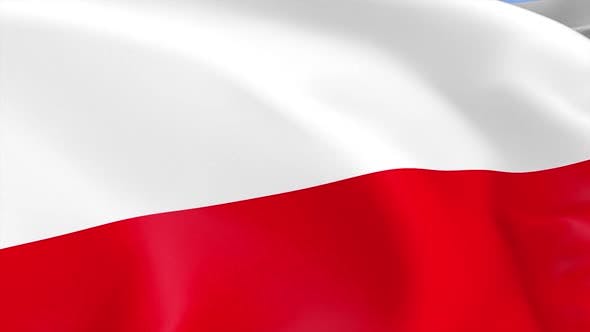 Poland Flag - 23786134 Download Videohive