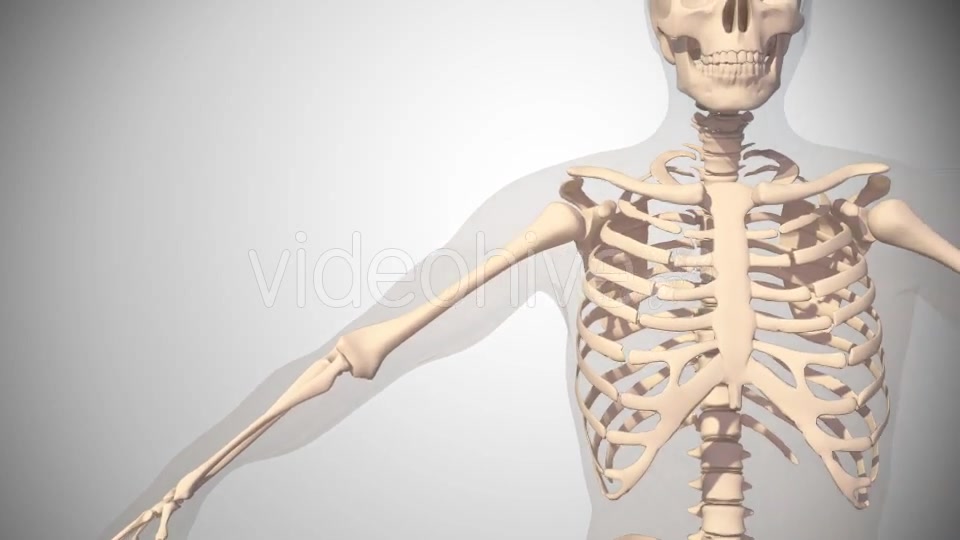 Polymialgya Rheumatica Videohive 16092049 Motion Graphics Image 5