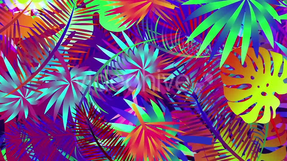 Pop Tropical Loops Videohive 21386545 Motion Graphics Image 1
