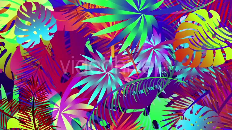 Pop Tropical Loops Videohive 21386545 Motion Graphics Image 2