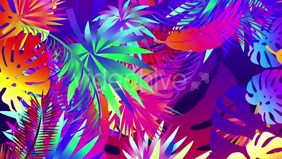 Pop Tropical Loops Videohive 21386545 Motion Graphics Image 3