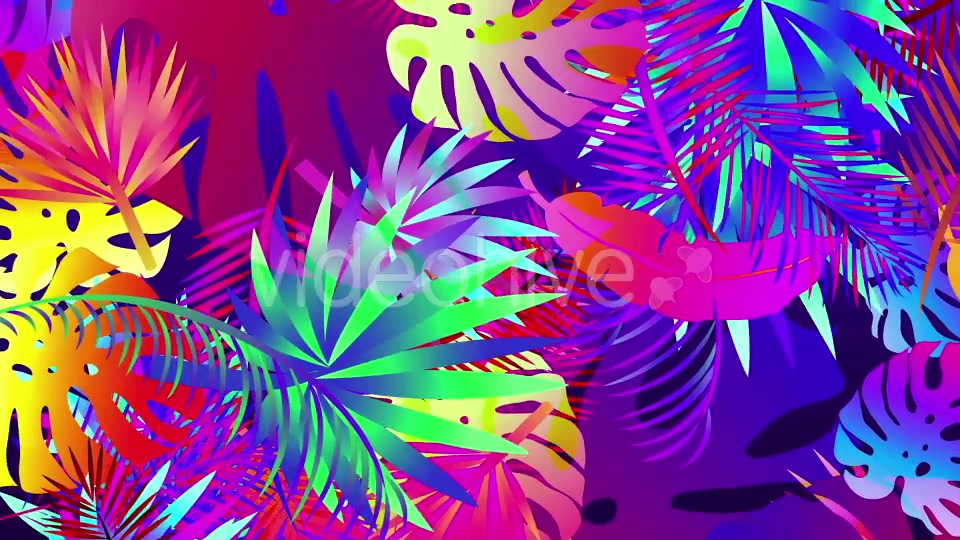 Pop Tropical Loops Videohive 21386545 Motion Graphics Image 4