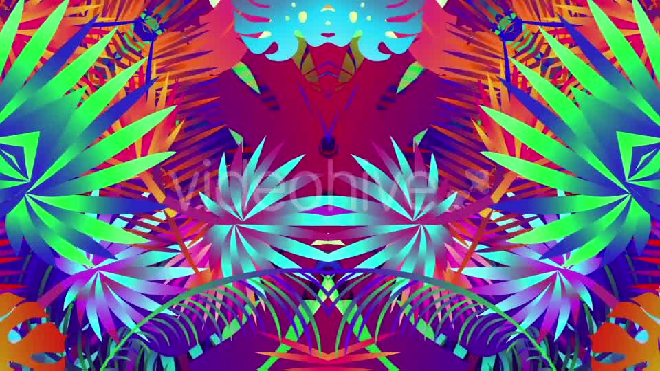 Pop Tropical Loops Videohive 21386545 Motion Graphics Image 8