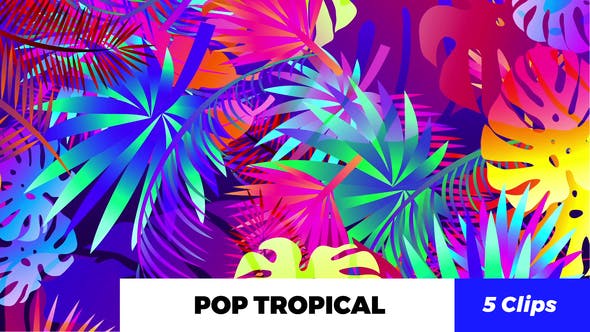 Pop Tropical Loops - Videohive Download 21386545