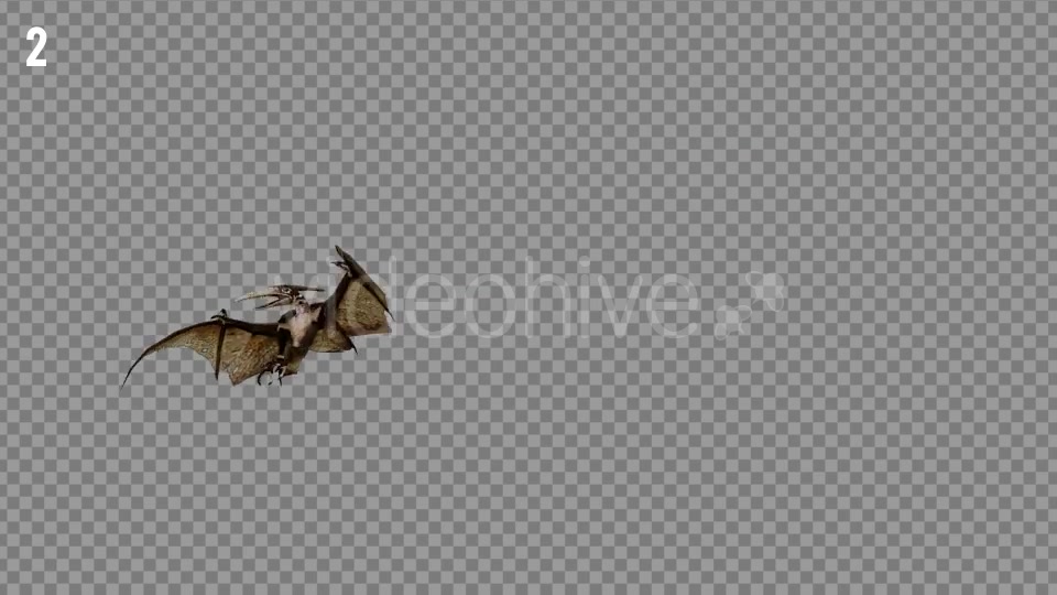 Pteranodon 1 Realistic Pack 3 Videohive 21277828 Motion Graphics Image 5