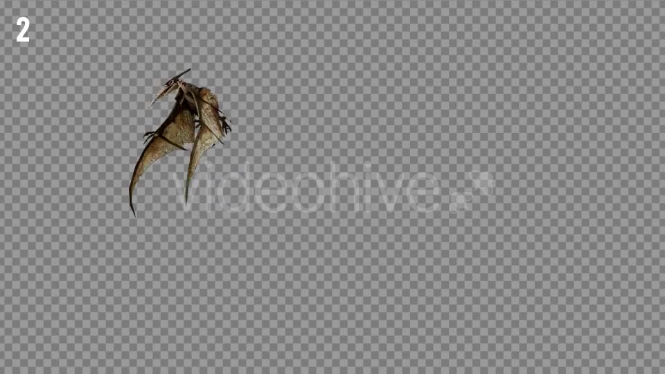 Pteranodon 1 Realistic Pack 3 Videohive 21277828 Motion Graphics Image 6