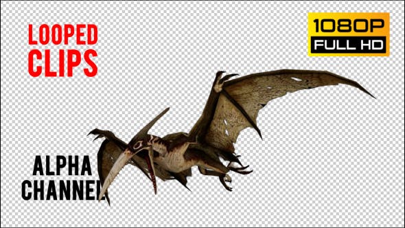 Pteranodon 1 Realistic Pack 3 - Videohive 21277828 Download