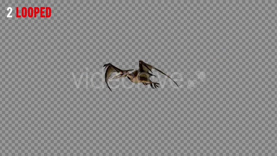 Pteranodon 2 Realistic Pack 3 Videohive 21277886 Motion Graphics Image 3