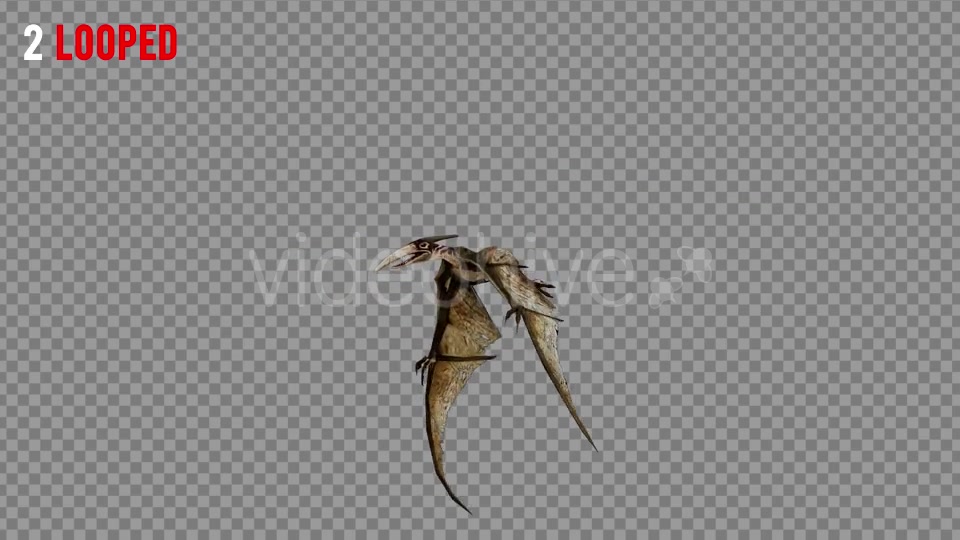 Pteranodon 2 Realistic Pack 3 Videohive 21277886 Motion Graphics Image 4