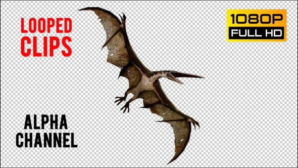 Pteranodon 2 Realistic Pack 3 - Videohive Download 21277886