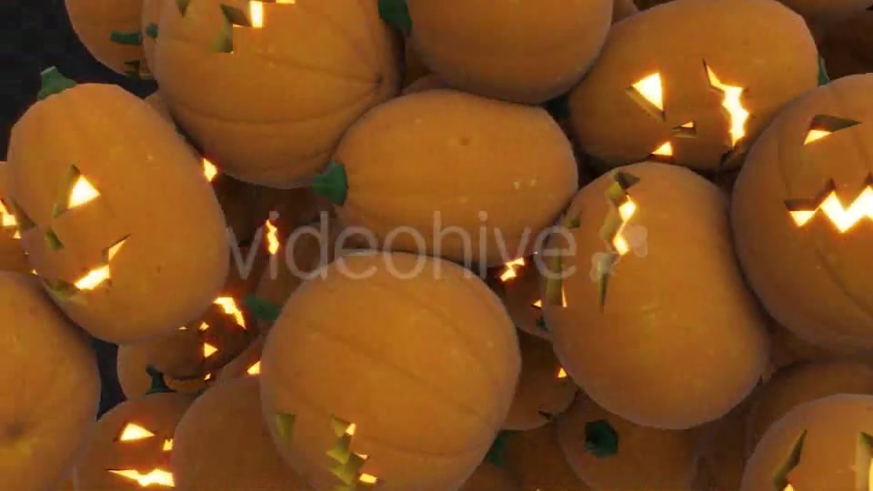 Pumpkins Transition Videohive 18132149 Motion Graphics Image 5