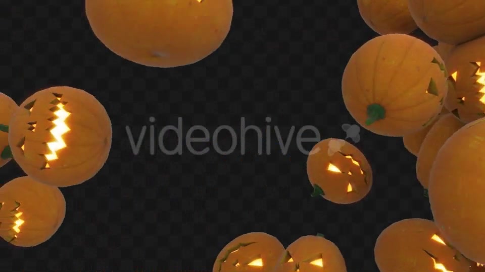 Pumpkins Transition Videohive 18132149 Motion Graphics Image 6