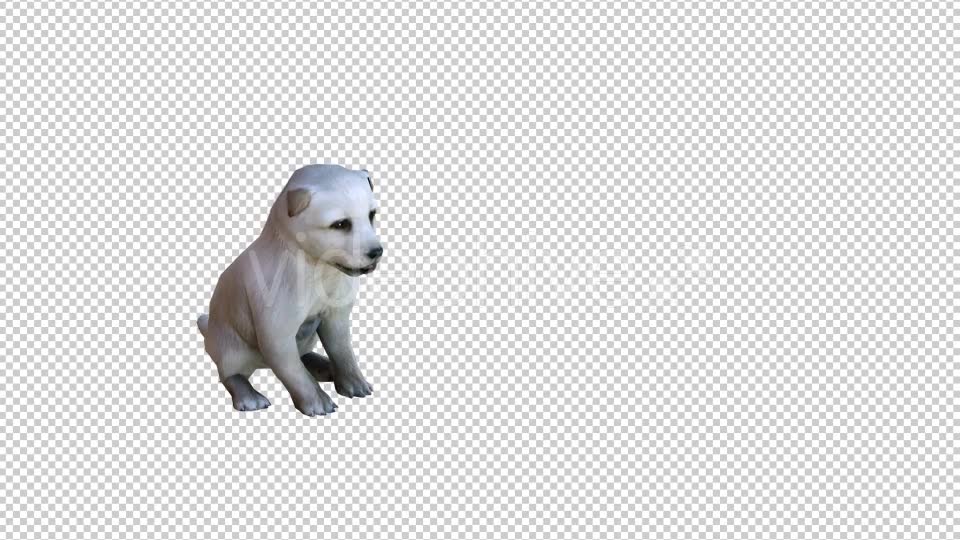 Puppy 1 Realistic Videohive 21086131 Motion Graphics Image 6