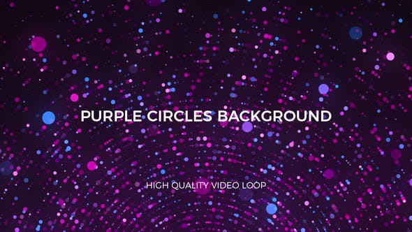 Purple Circles Background - 23678768 Videohive Download