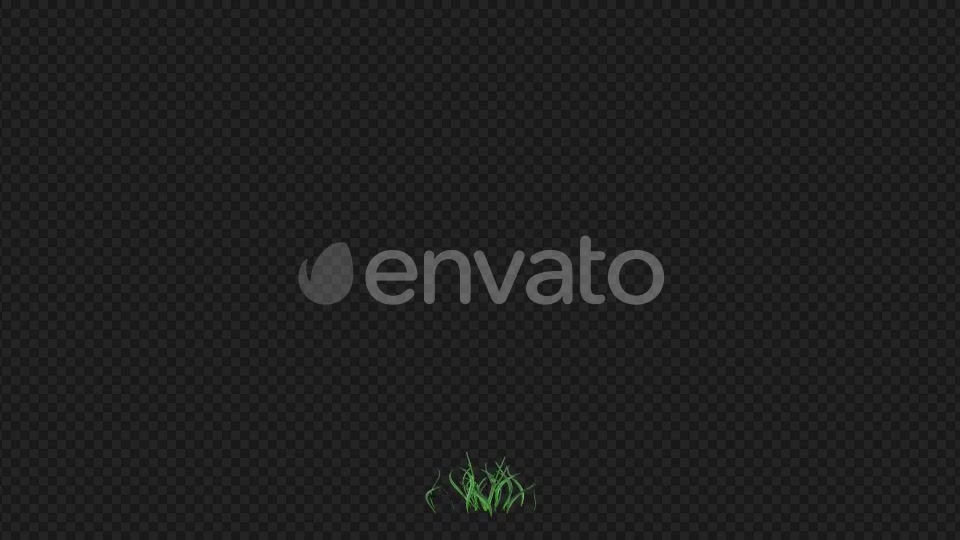 Purple Flowers Growing Videohive 22392093 Motion Graphics Image 2