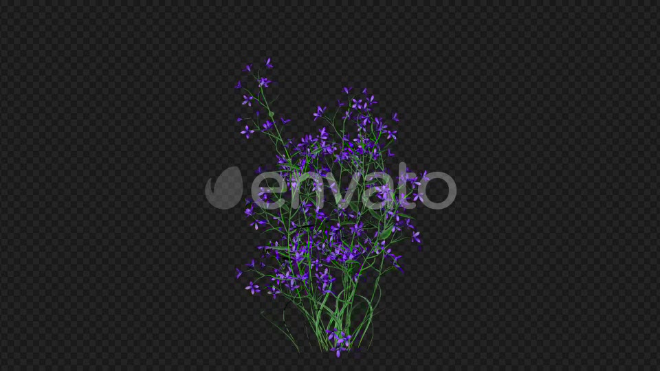 Purple Flowers Growing Videohive 22392093 Motion Graphics Image 6