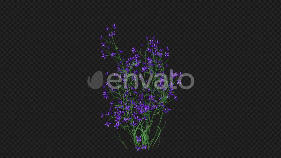 Purple Flowers Growing Videohive 22392093 Motion Graphics Image 7