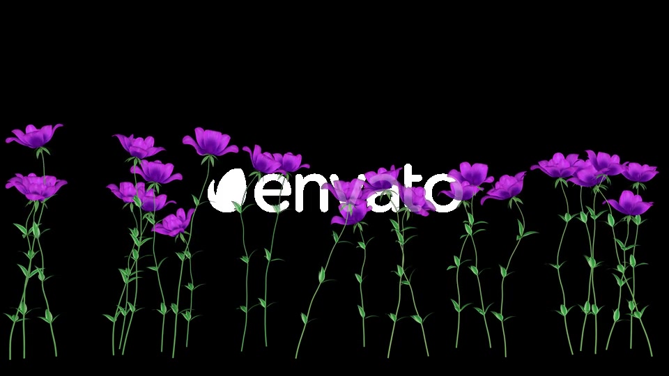 Purple Flowers Videohive 22471800 Motion Graphics Image 4
