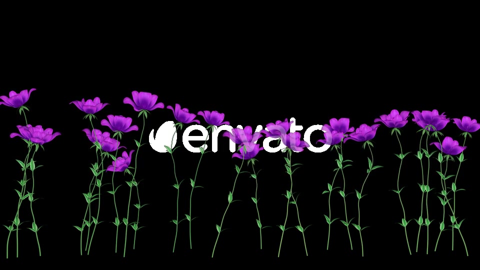 Purple Flowers Videohive 22471800 Motion Graphics Image 6