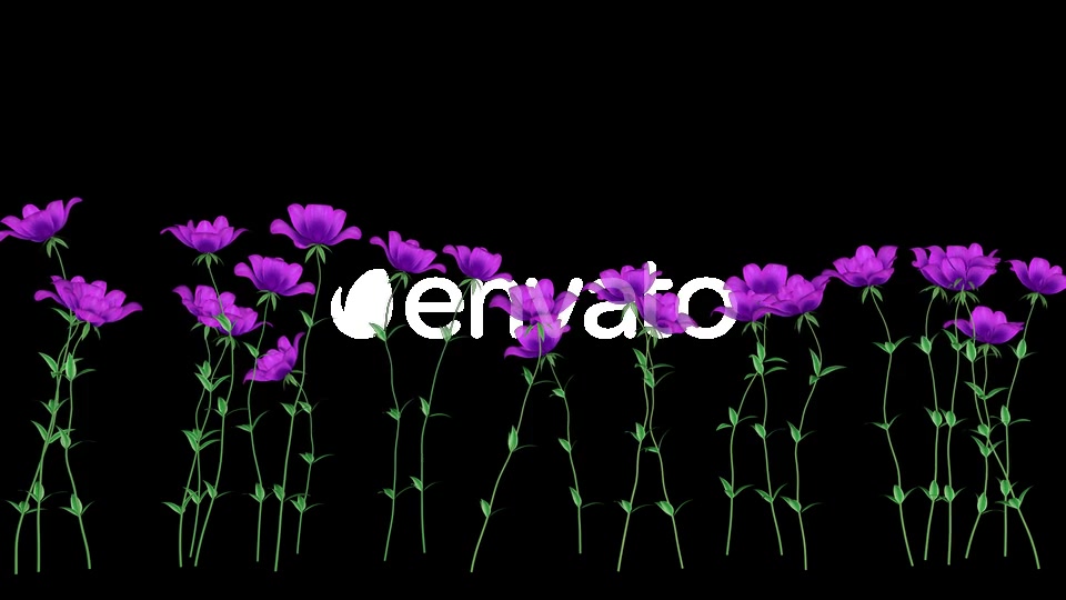 Purple Flowers Videohive 22471800 Motion Graphics Image 7