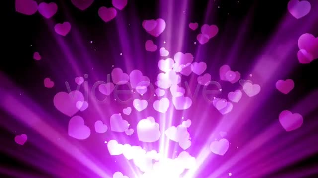 Purple Love Rays Videohive 6727954 Motion Graphics Image 1
