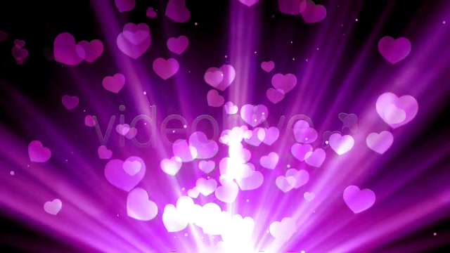Purple Love Rays Videohive 6727954 Motion Graphics Image 10