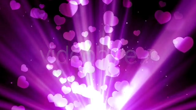 Purple Love Rays Videohive 6727954 Motion Graphics Image 6