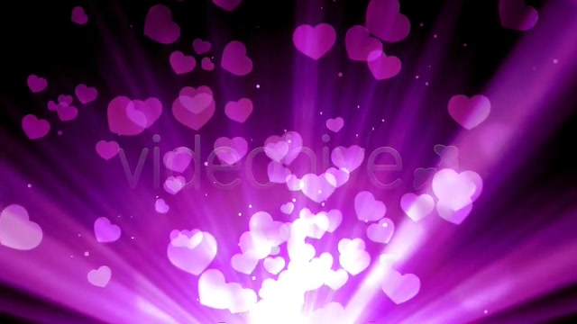 Purple Love Rays Videohive 6727954 Motion Graphics Image 9