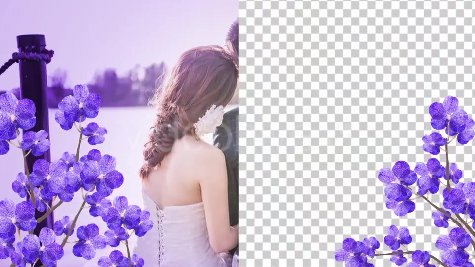Purple Orchid 01 Videohive 20507860 Motion Graphics Image 5