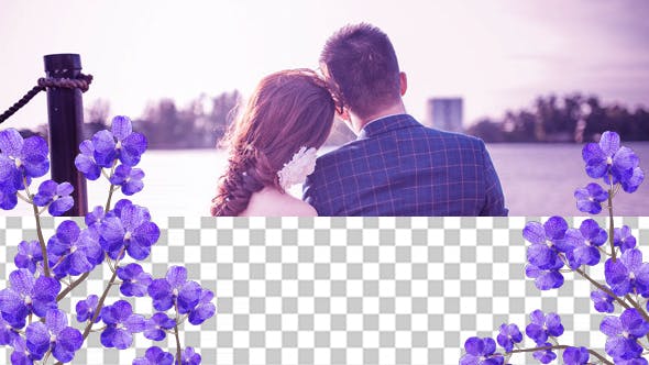 Purple Orchid 01 - Download Videohive 20507860