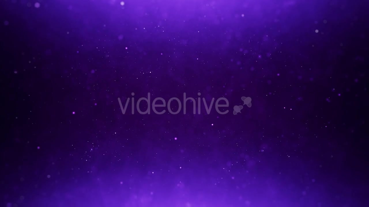 Purple Particles Background Videohive 20278869 Motion Graphics Image 2