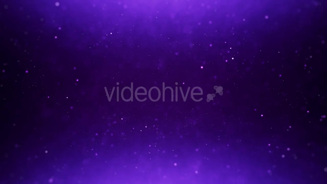 Purple Particles Background Videohive 20278869 Motion Graphics Image 4