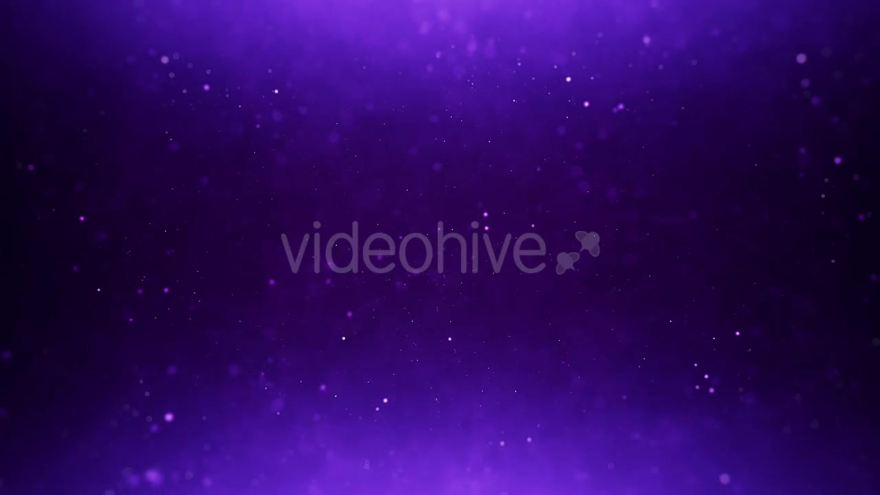 Purple Particles Background Videohive 20278869 Motion Graphics Image 6