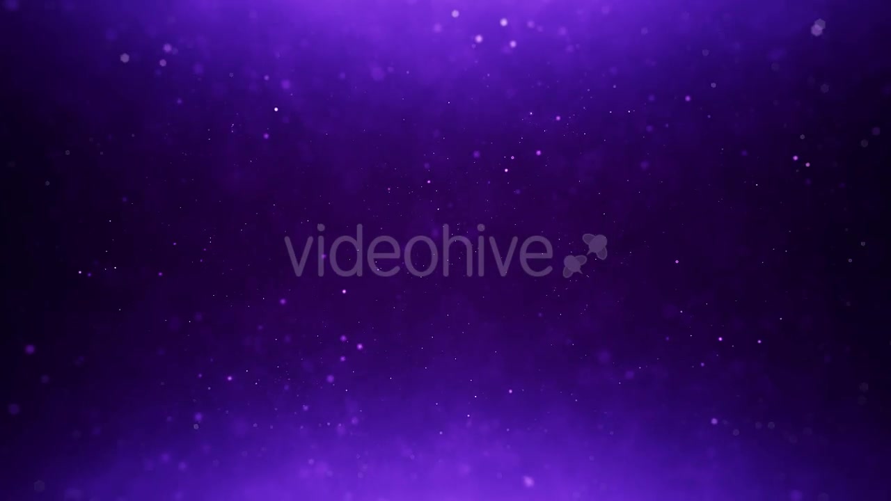 Purple Particles Background Videohive 20278869 Motion Graphics Image 7