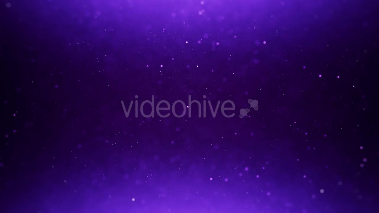 Purple Particles Background Videohive 20278869 Motion Graphics Image 8