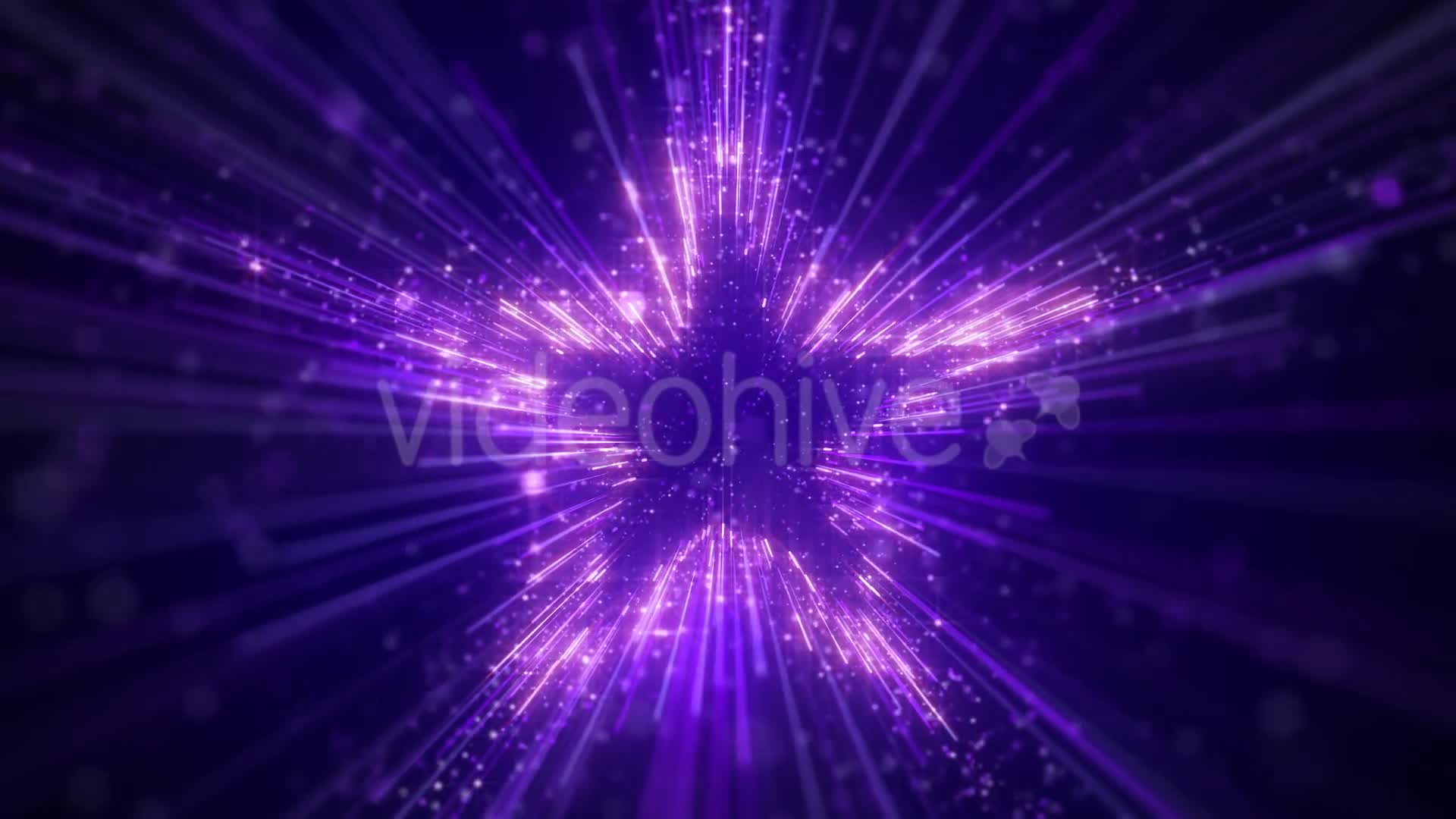 Purple Star Particles Background Videohive 20544935 Motion Graphics Image 1