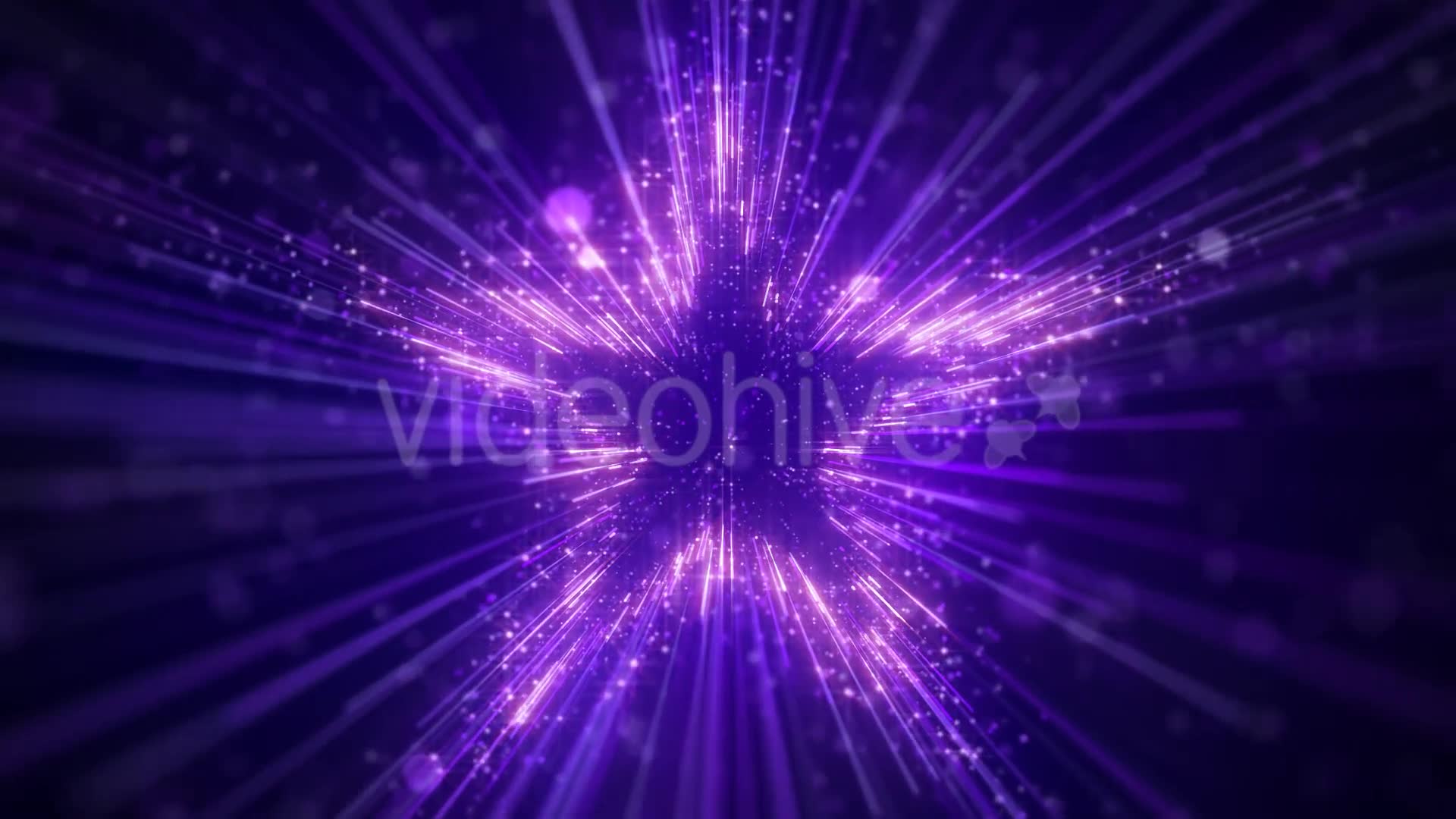 Purple Star Particles Background Videohive 20544935 Motion Graphics Image 2