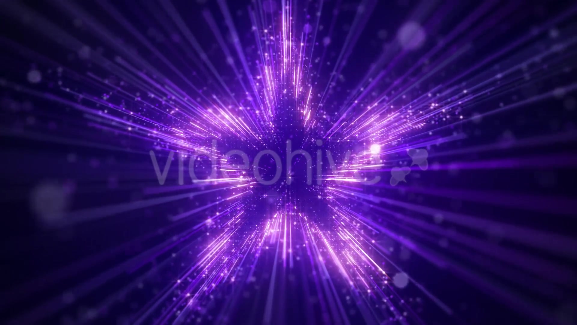 Purple Star Particles Background Videohive 20544935 Motion Graphics Image 3