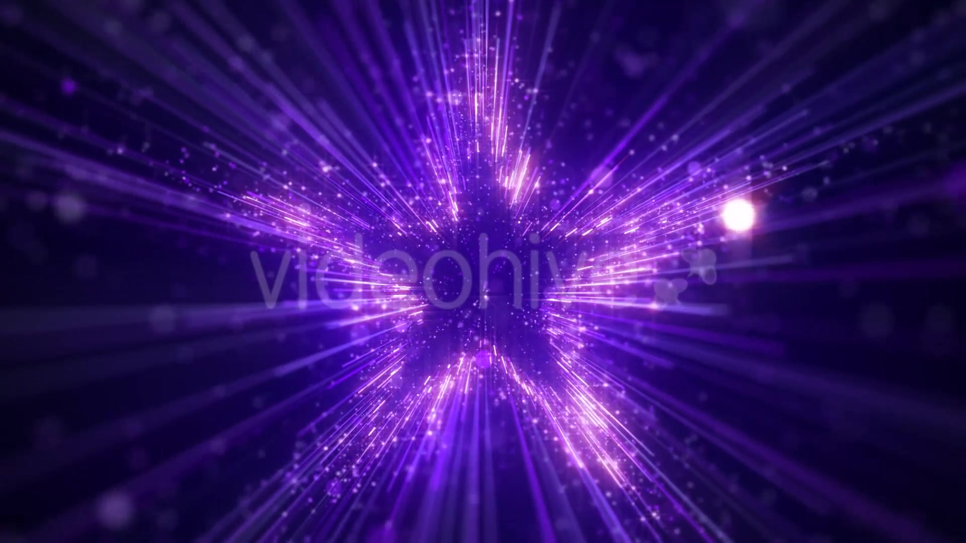 Purple Star Particles Background Videohive 20544935 Motion Graphics Image 4