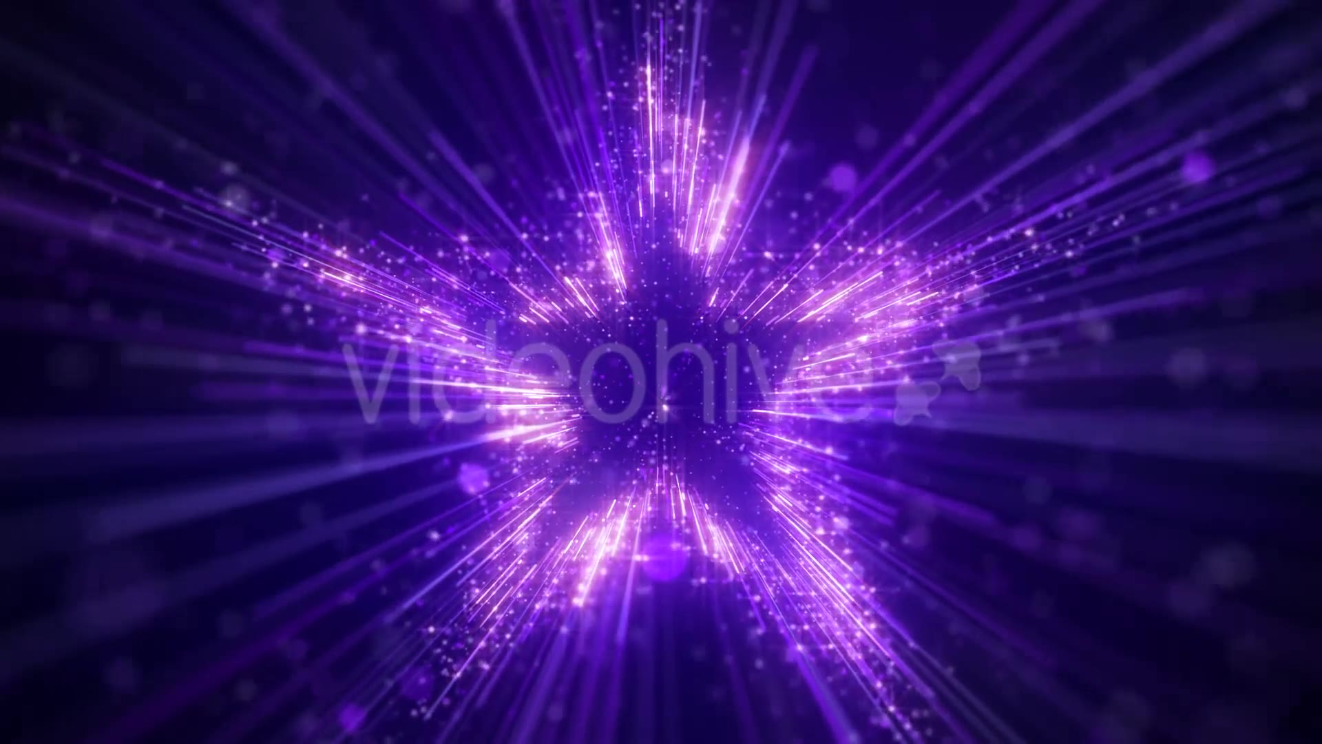 Purple Star Particles Background Videohive 20544935 Motion Graphics Image 5